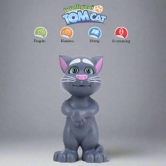 Toy cat figure with colorful buttons labeled 'Touch', 'Music', 'Story', and 'Recording' on a white background.